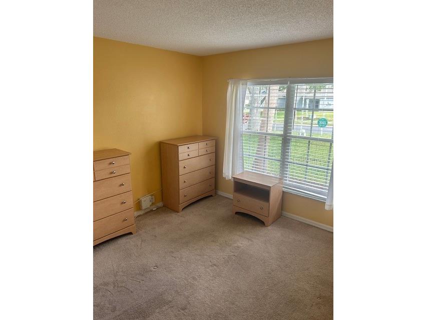 314 Casterton Circle Davenport FL 33897 O6296815 image16