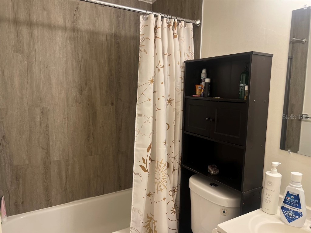 314 Charles Avenue Orange City FL 32763 S5131125 image26