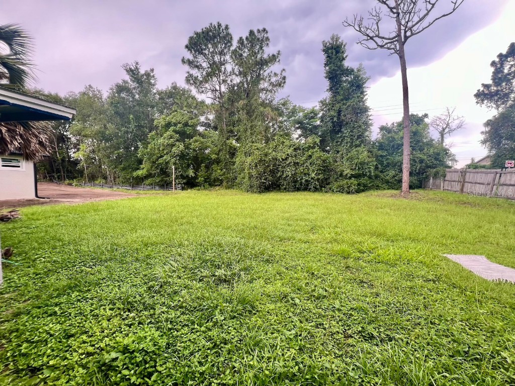 314 Charles Avenue Orange City FL 32763 S5131125 image31