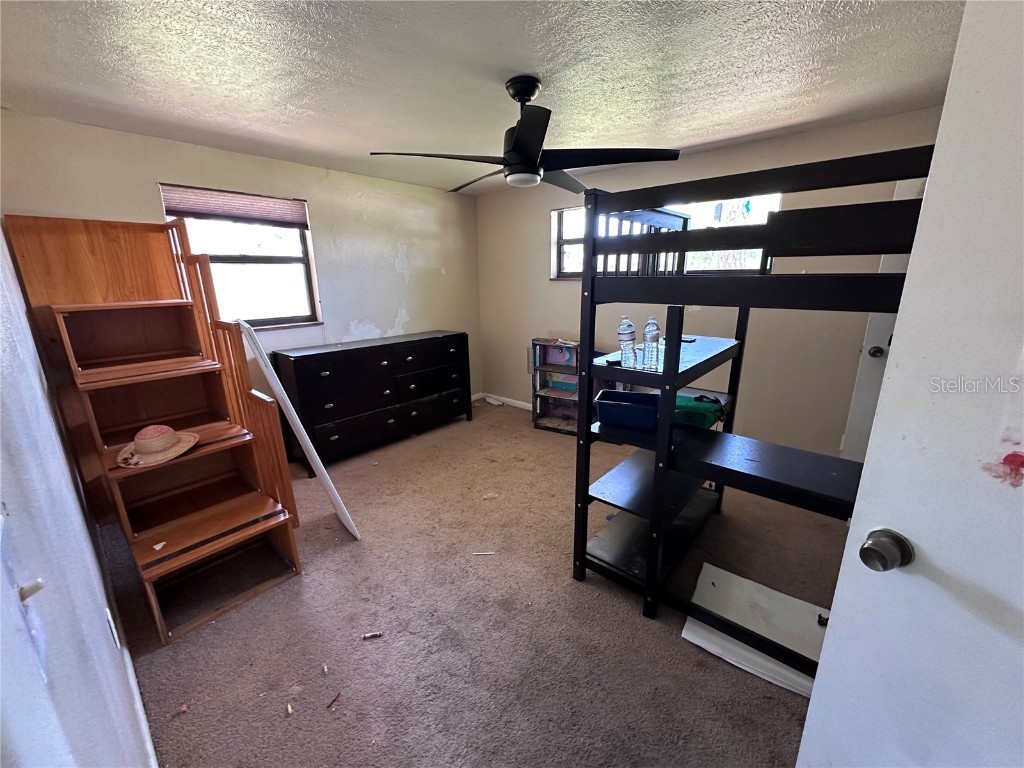 314 Dickman Drive SW Ruskin FL 33570 TB8390297 image9