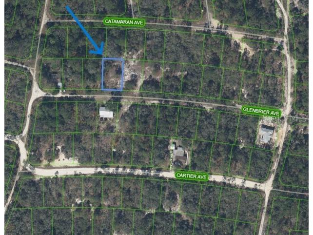 314 Glenbrier Avenue Lake Placid FL 33852 A4673029 image2