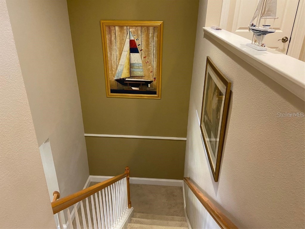 314 Ibisview Lane Apollo Beach FL 33572 TB8432912 image13