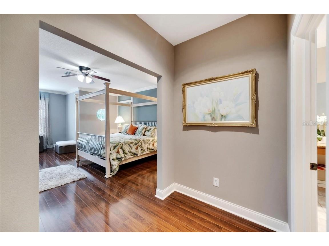 314 Ibisview Lane Apollo Beach FL 33572 TB8432912 image17