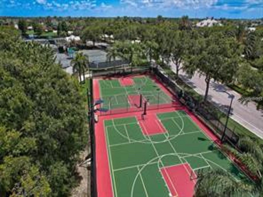 314 Ibisview Lane Apollo Beach FL 33572 TB8432912 image41