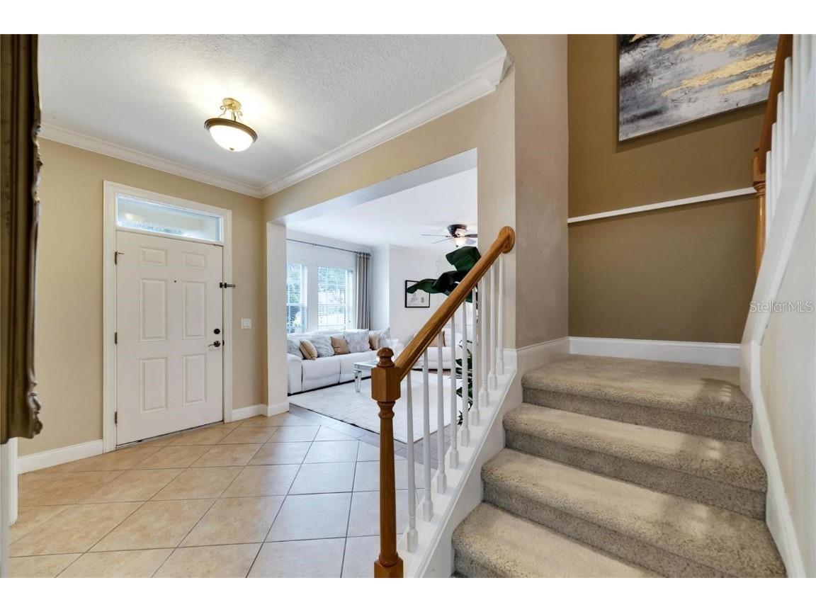 314 Ibisview Lane Apollo Beach FL 33572 TB8432912 image6