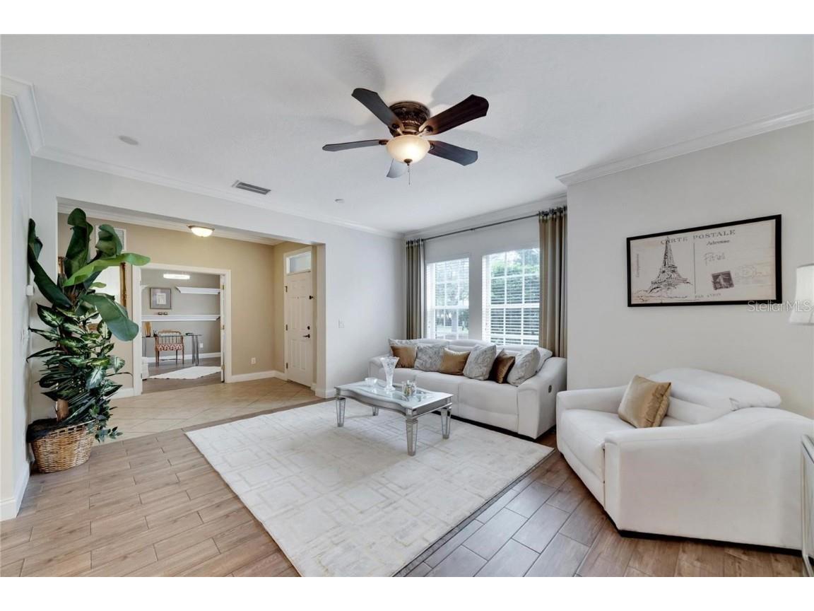 314 Ibisview Lane Apollo Beach FL 33572 TB8432912 image7