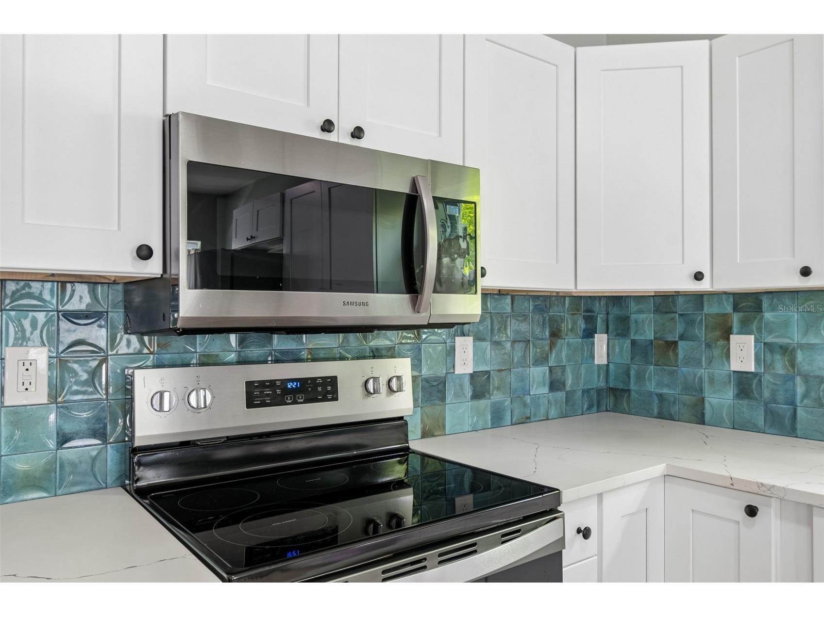 314 Indiana Avenue Crystal Beach FL 34681 TB8517747 image10