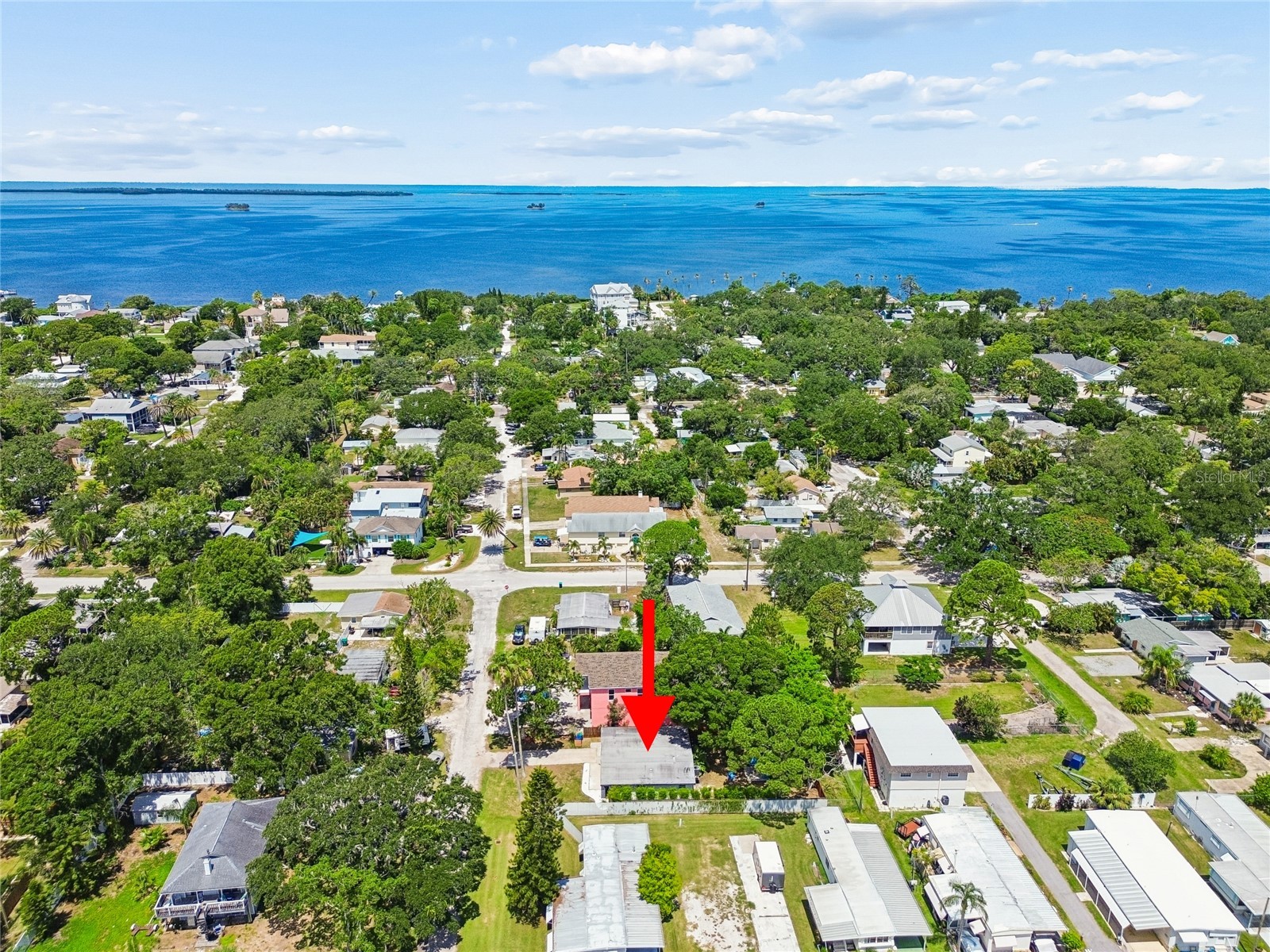 314 Indiana Avenue Crystal Beach FL 34681 TB8517747 image2