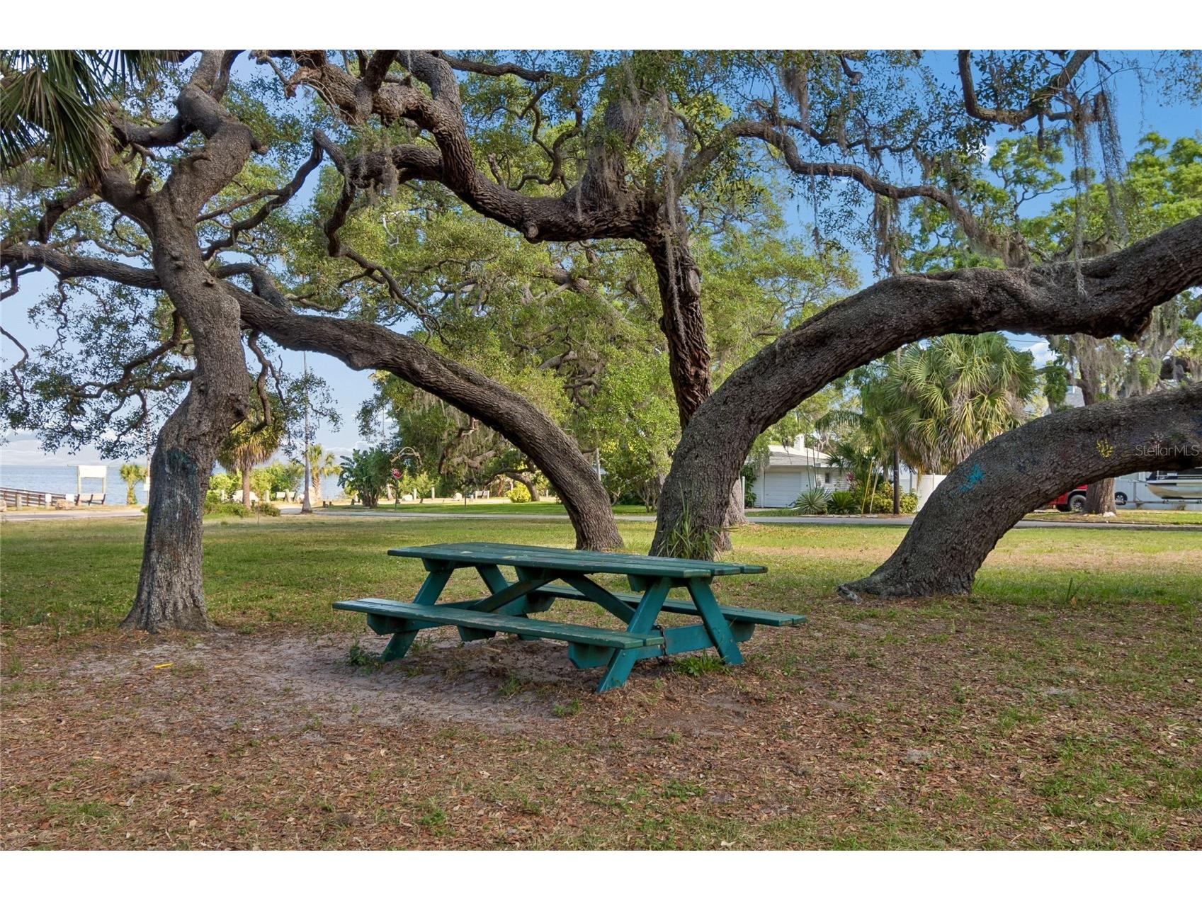 314 Indiana Avenue Crystal Beach FL 34681 TB8517747 image36