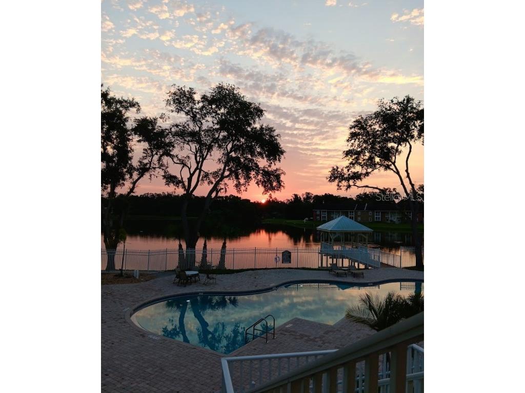 314 Lake Parsons Green #102 Brandon FL 33511 C7513940 image1