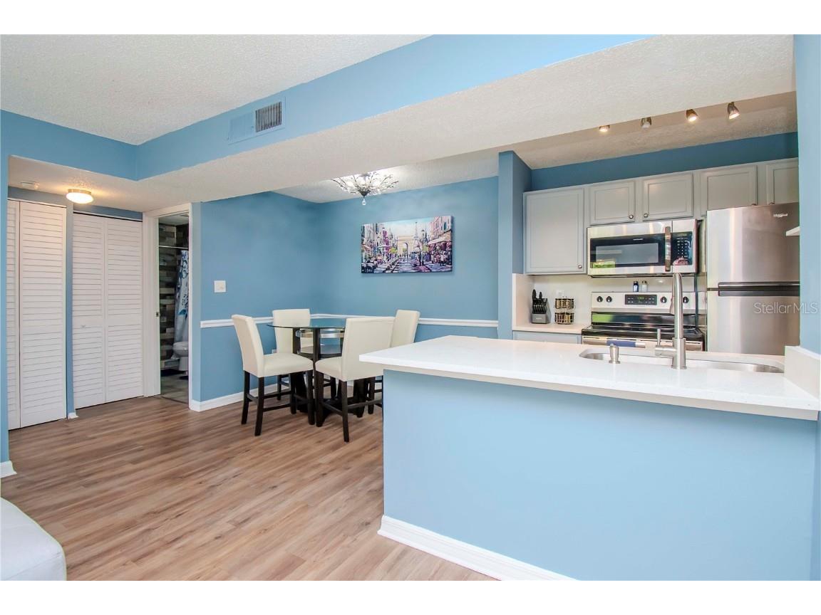 314 Lake Parsons Green #203 Brandon FL 33511 TB8452464 image11