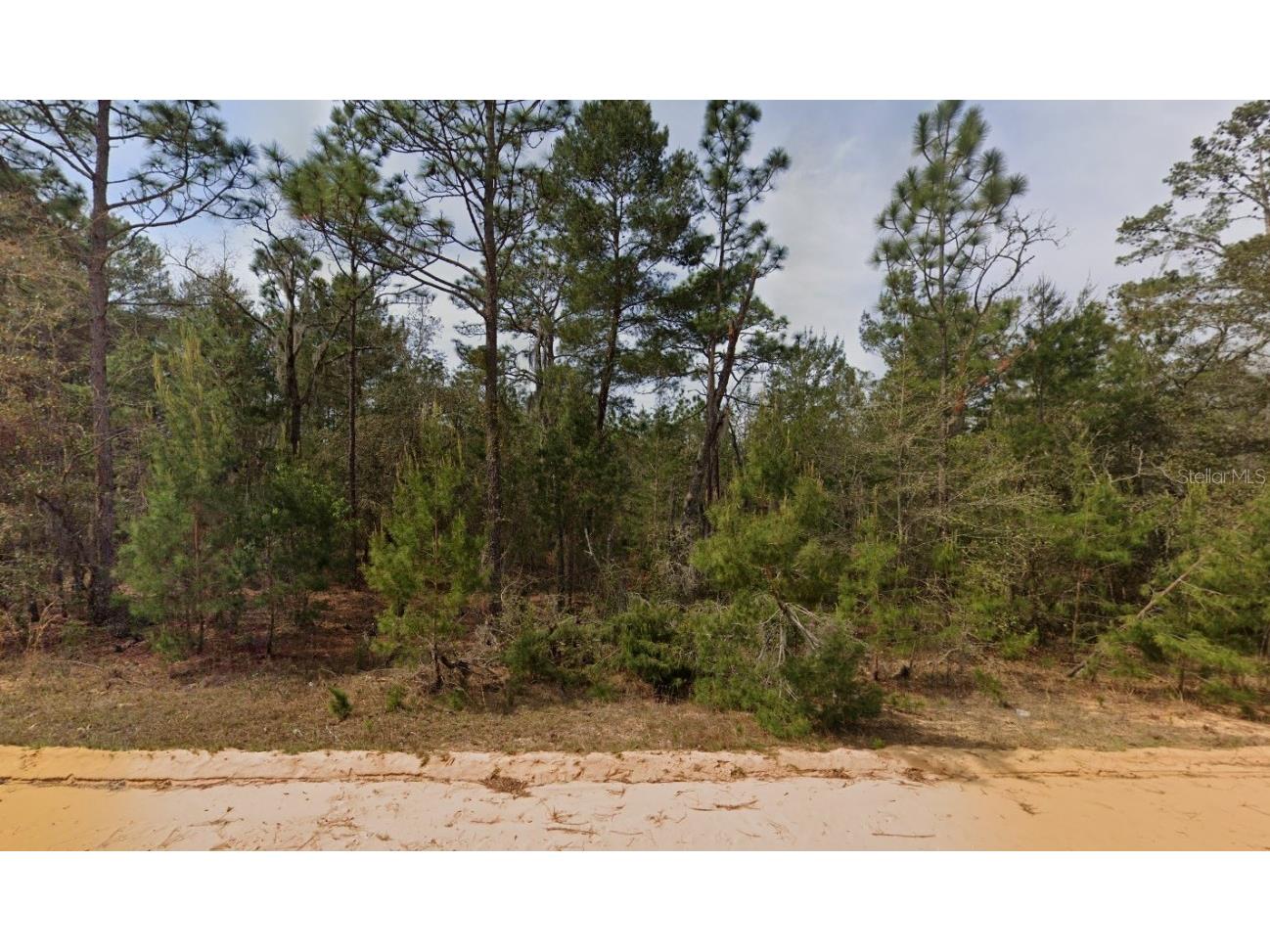 314 Neisman Avenue Interlachen FL 32148 OK225601 image1