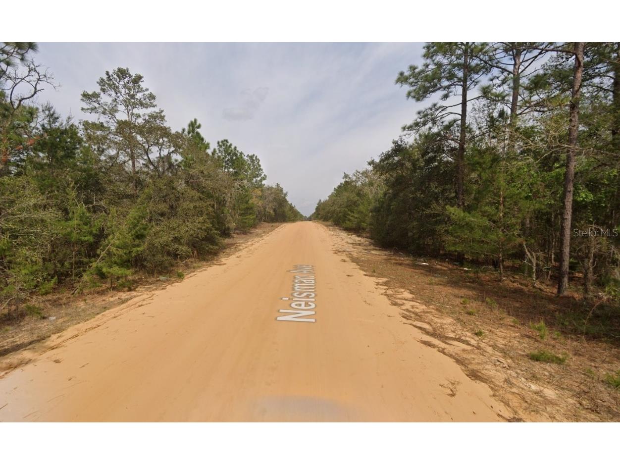 314 Neisman Avenue Interlachen FL 32148 OK225601 image2