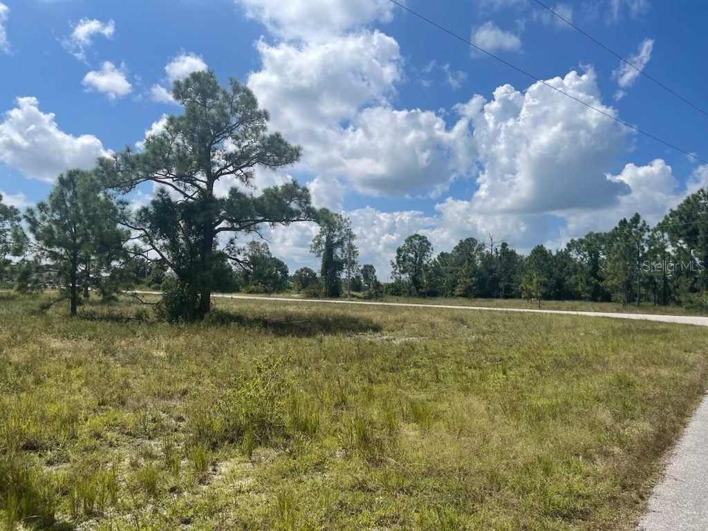 314 Pearson Street Lehigh Acres FL 33974 T3550227 image1