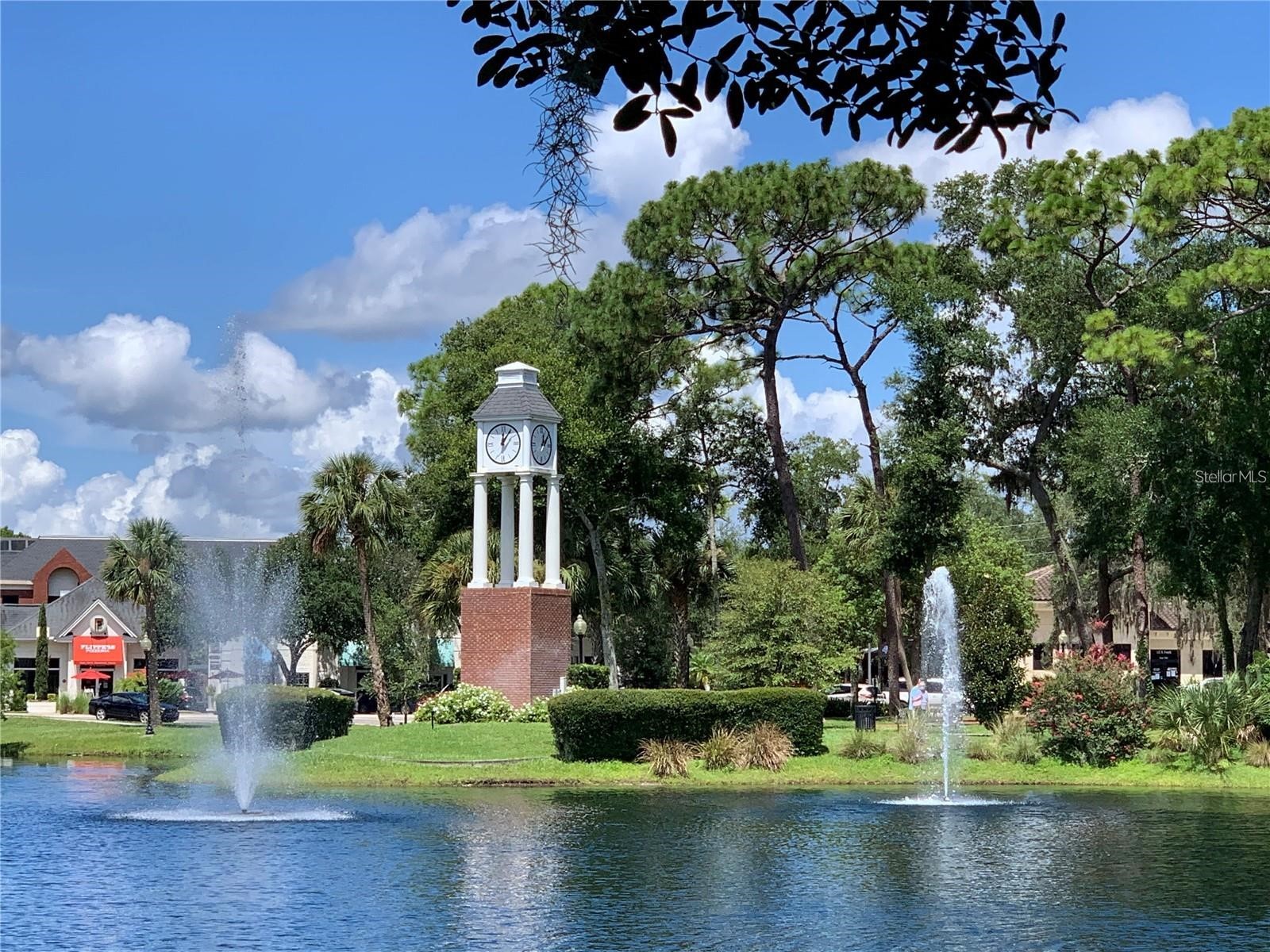 314 S Country Club Lake Mary FL 32746 O6410931 image9