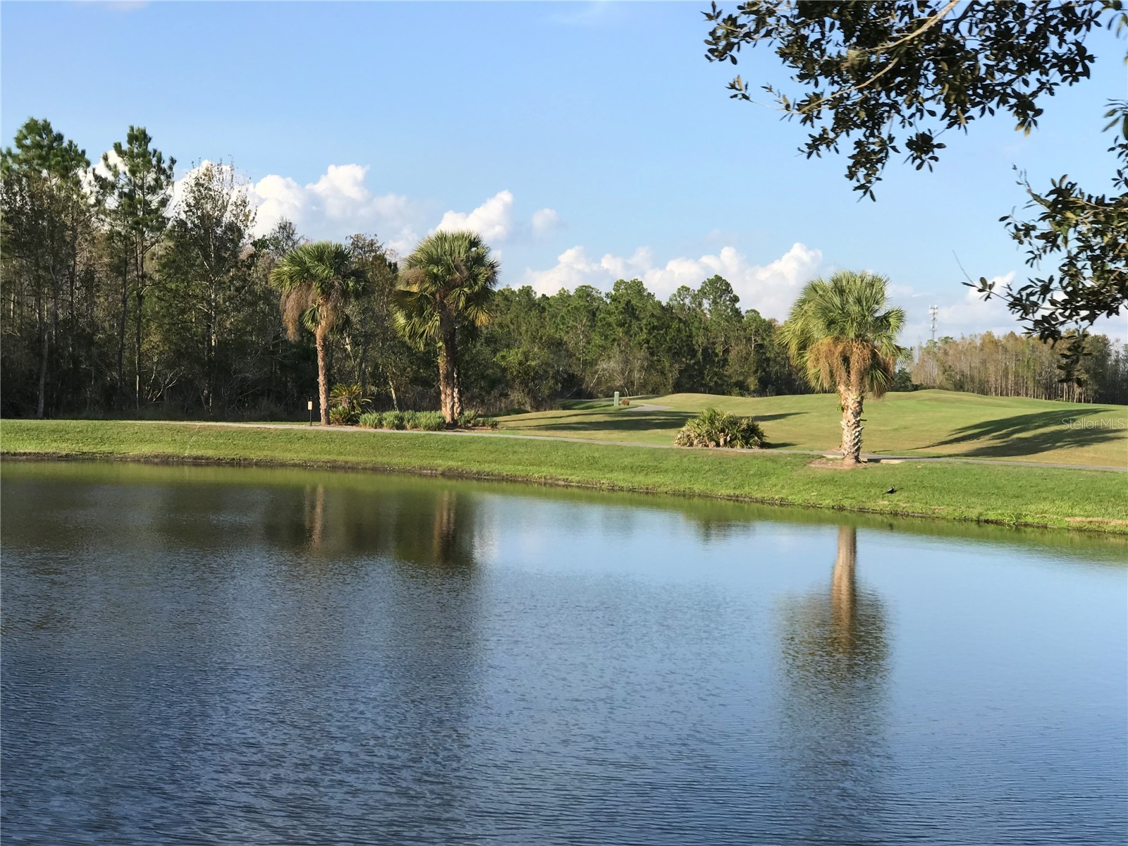 314 Scripps Ranch Road Poinciana FL 34759 S5144813 image46
