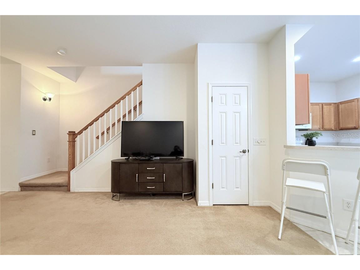 314 Summer Clouds Pl Brandon FL 33511 TB8443981 image11