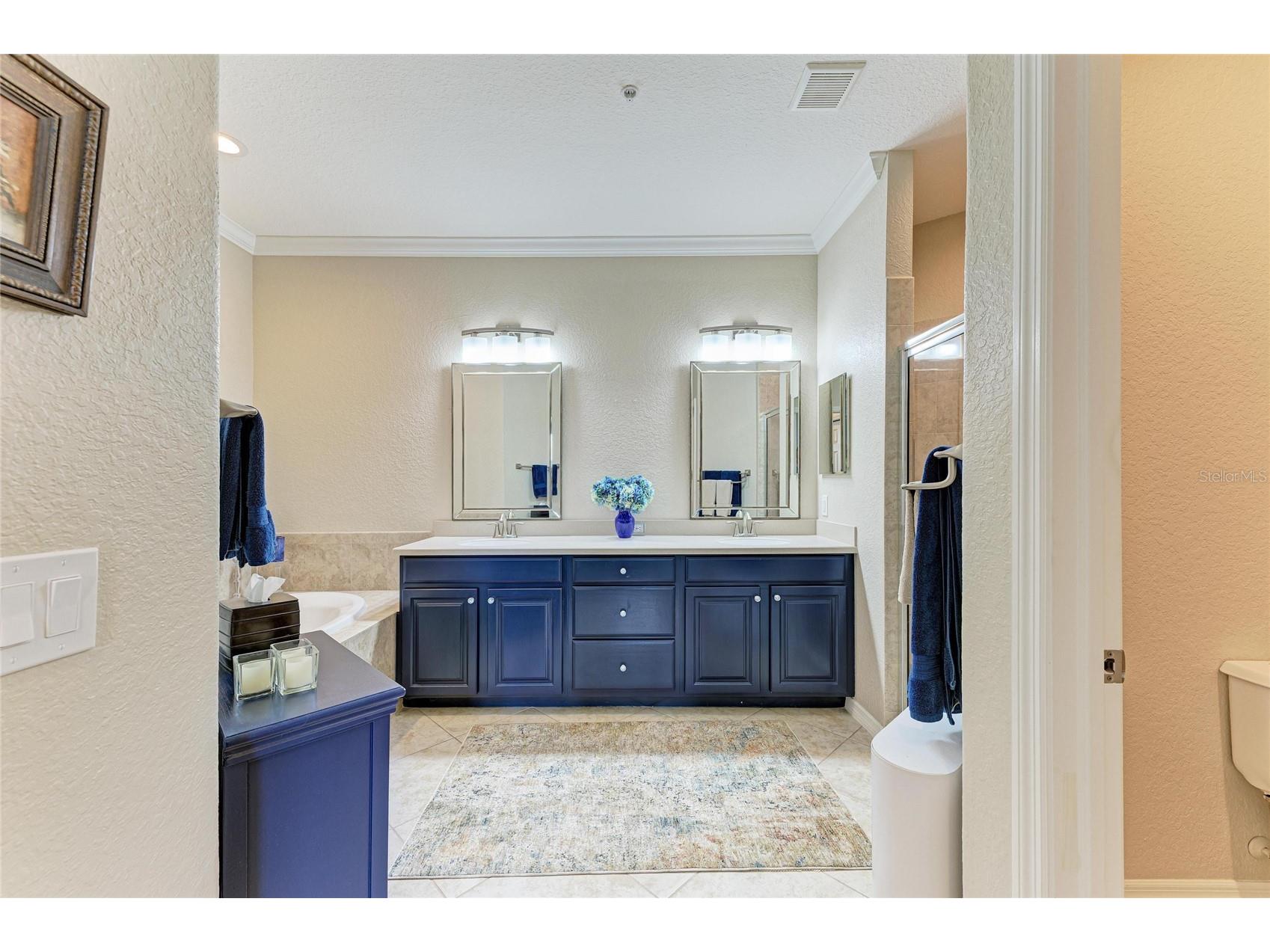 314 Winding Brook Lane #102 Bradenton FL 34212 A4698411 image22