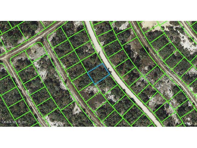 314 Wildwood Drive Lake Placid FL 33852 OM543117 image1