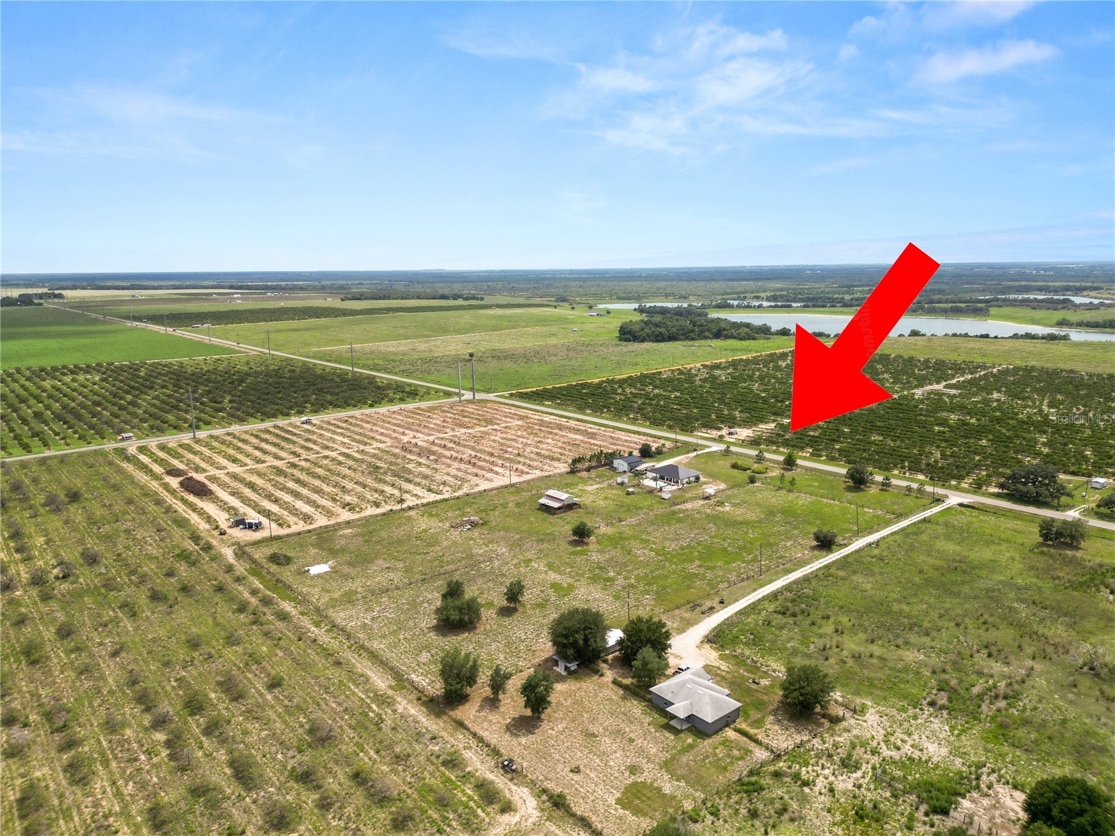 3140 80 Foot Road Bartow FL 33830 L4962384 image81