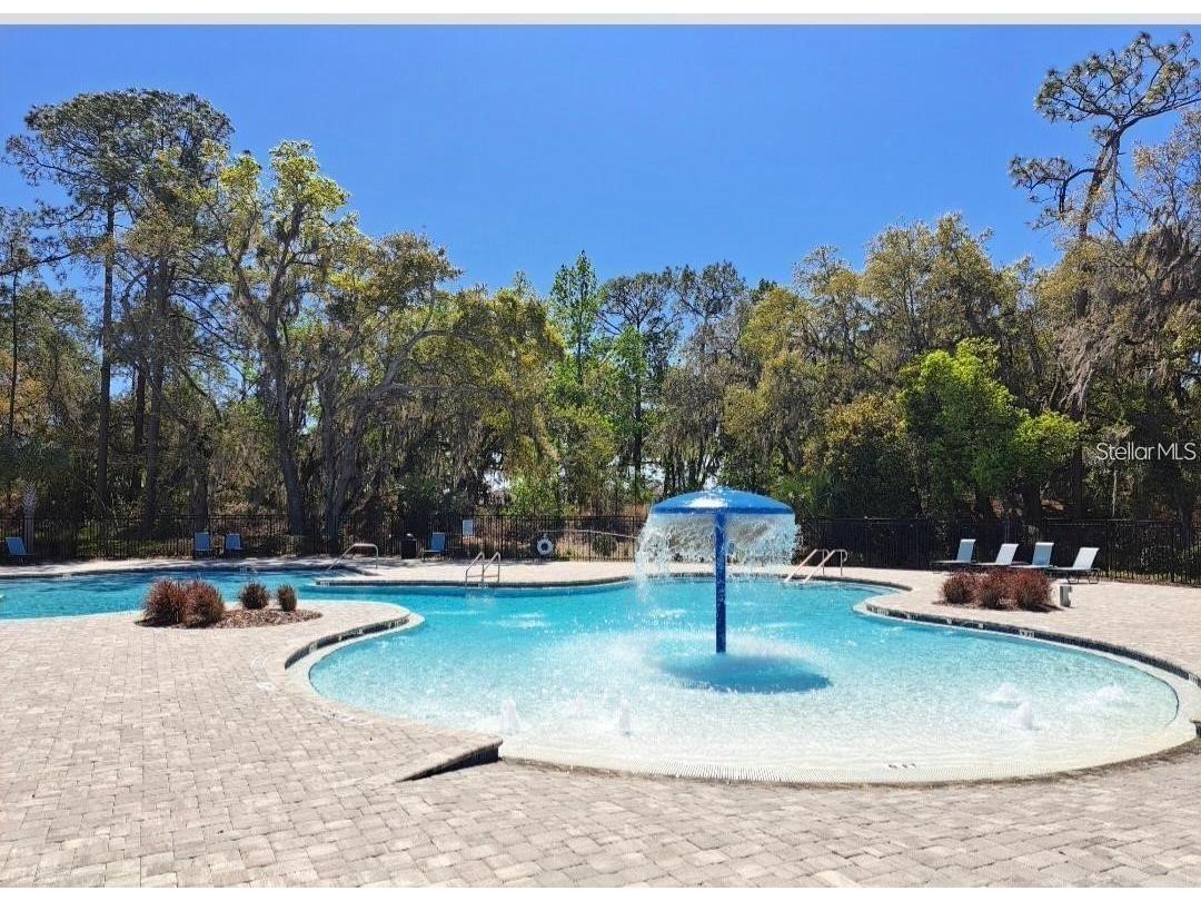 3140 Goose Road Davenport FL 33837 O6421710 image29