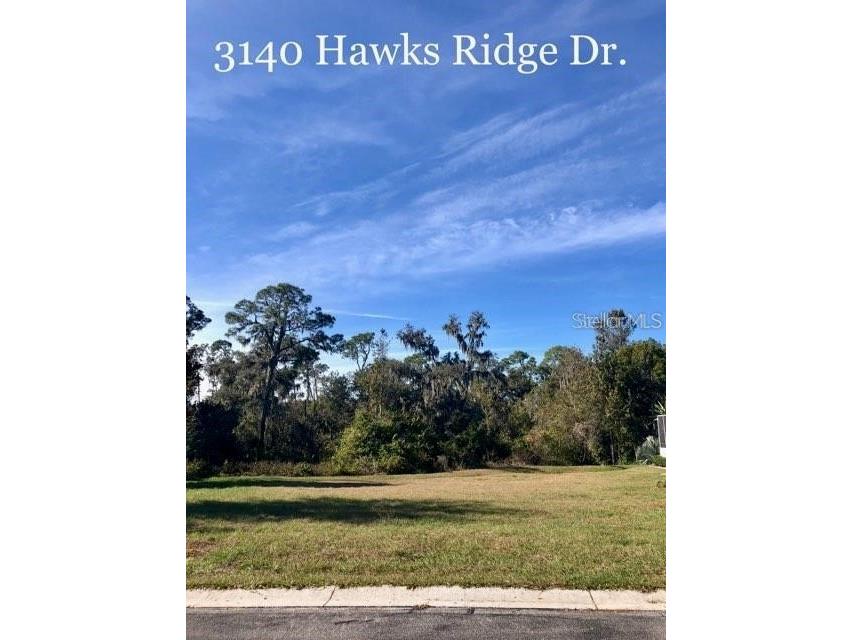 3140 Hawks Ridge Drive Lakeland FL 33810 L4937304 image1
