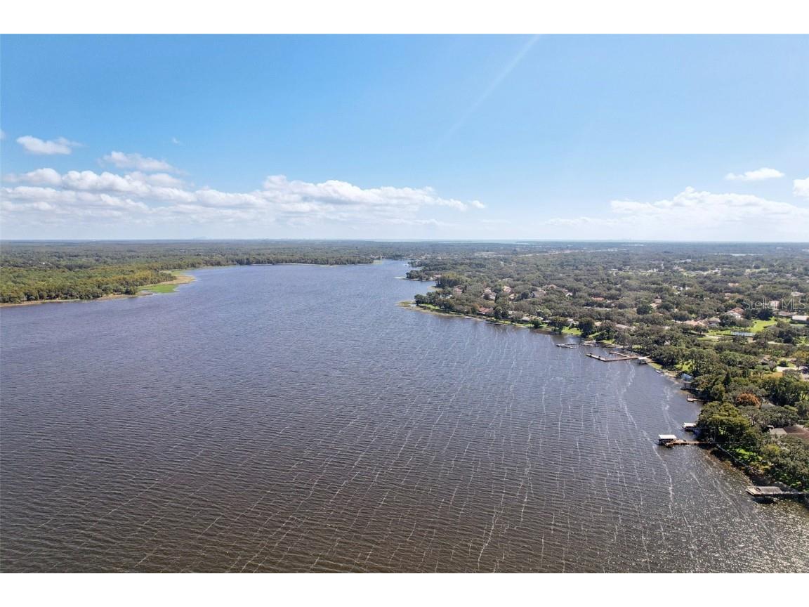 3140 N Canal Drive Palm Harbor FL 34684 - LAKE TARPON TB8441633 image1