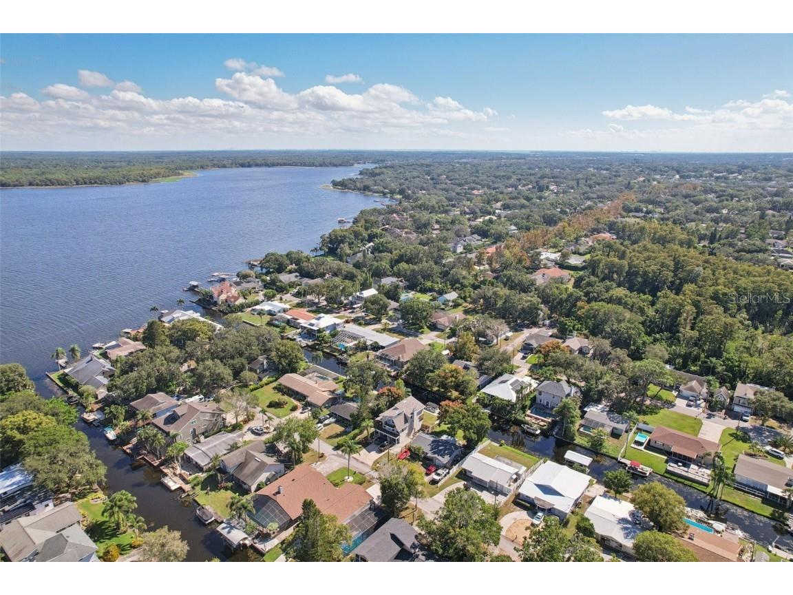3140 N Canal Drive Palm Harbor FL 34684 - LAKE TARPON TB8441633 image45
