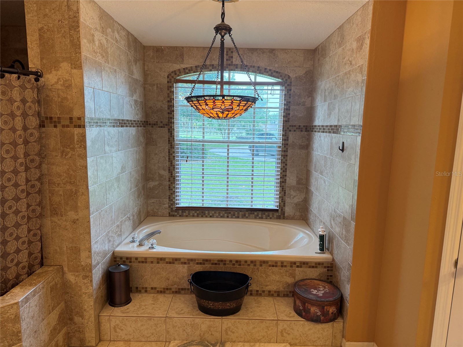 31405 Bear Pond Drive Sorrento FL 32776 O6410942 image19