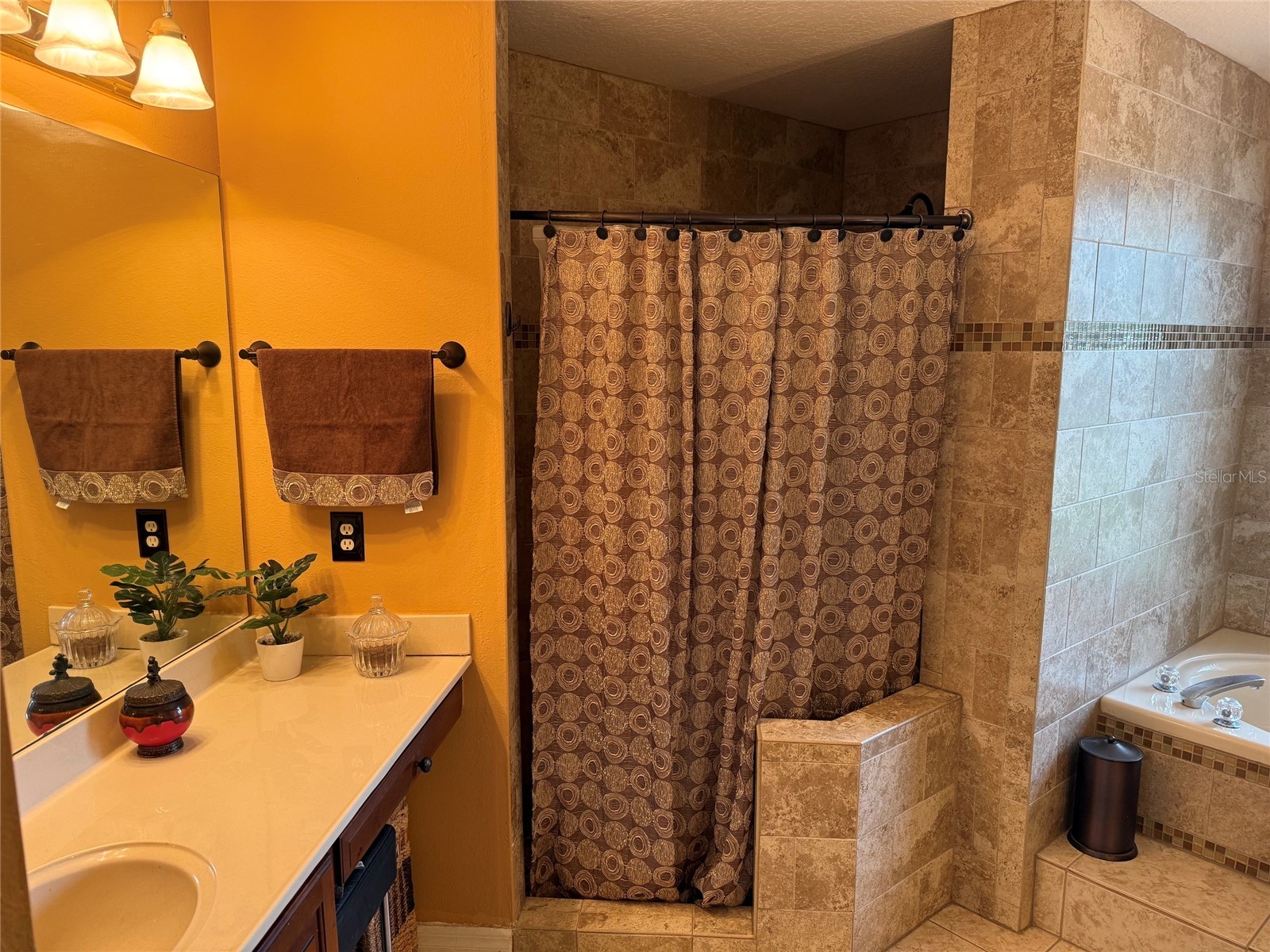 31405 Bear Pond Drive Sorrento FL 32776 O6410942 image20