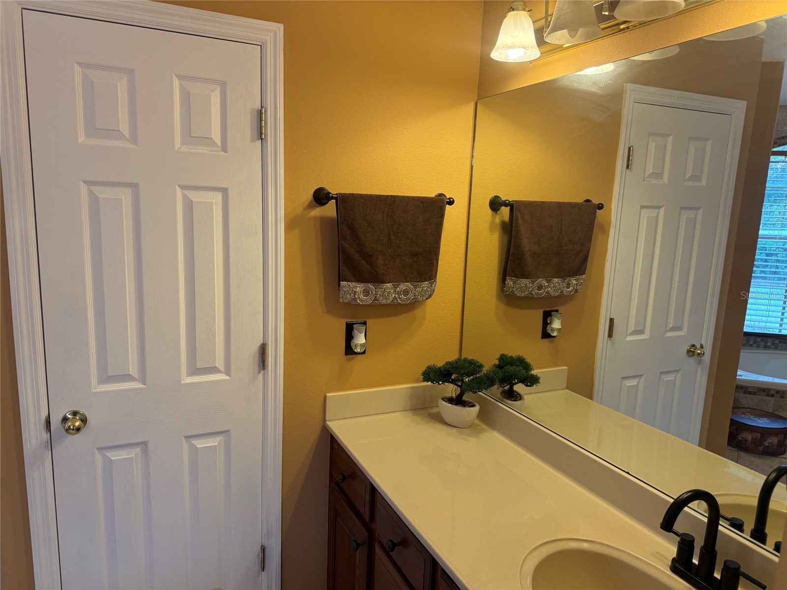 31405 Bear Pond Drive Sorrento FL 32776 O6410942 image21
