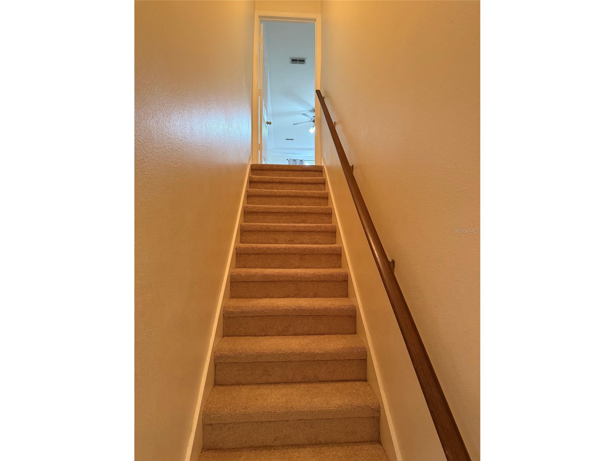 31405 Bear Pond Drive Sorrento FL 32776 O6410942 image27