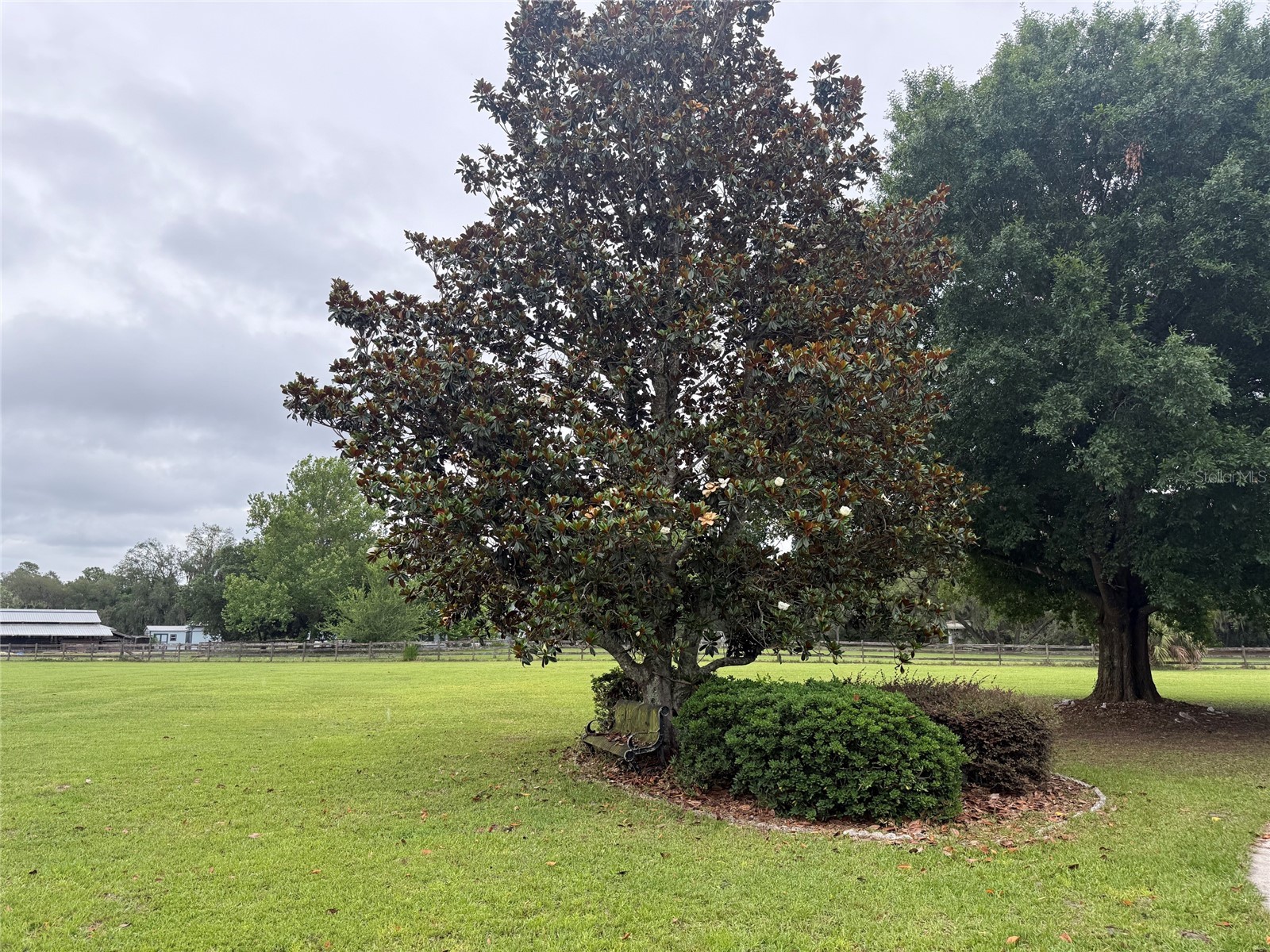 31405 Bear Pond Drive Sorrento FL 32776 O6410942 image34