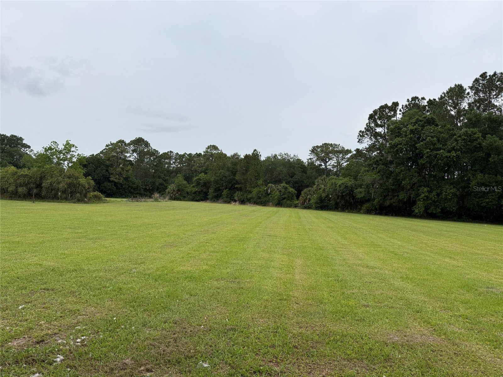 31405 Bear Pond Drive Sorrento FL 32776 O6410942 image35