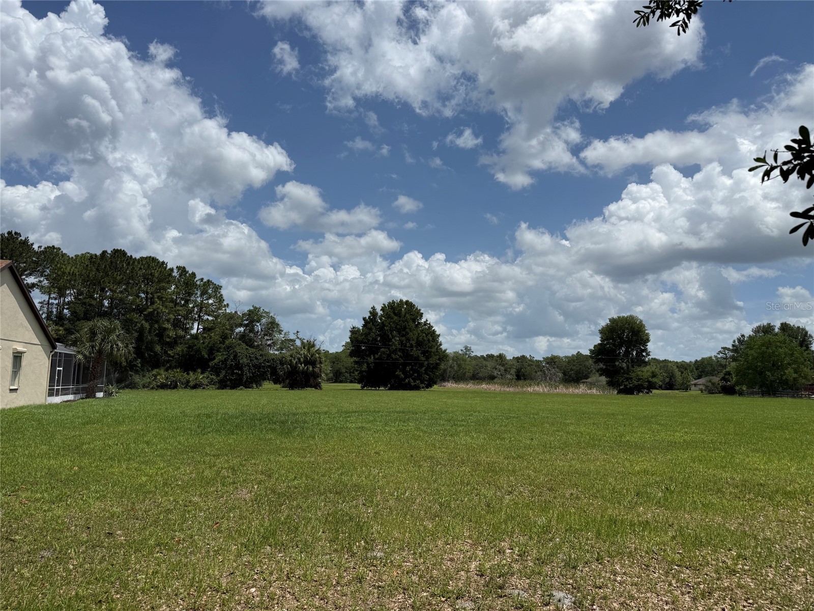 31405 Bear Pond Drive Sorrento FL 32776 O6410942 image36