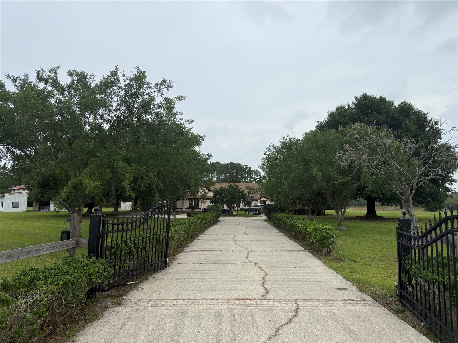 31405 Bear Pond Drive Sorrento FL 32776 O6410942 image5