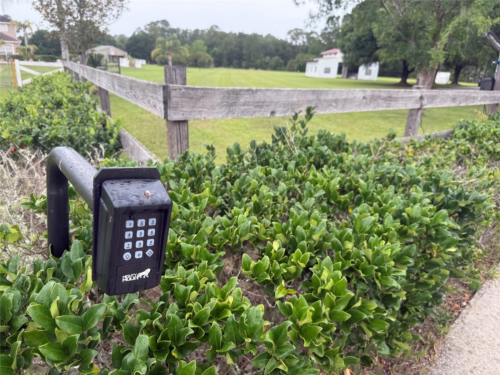 31405 Bear Pond Drive Sorrento FL 32776 O6410942 image6