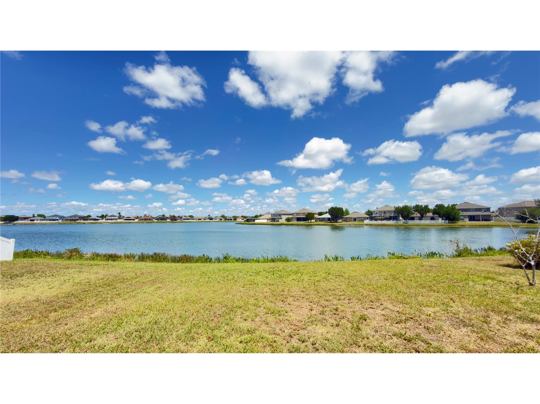 31405 Triborough Drive Wesley Chapel FL 33545 TB8476506 image8