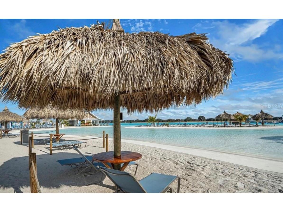 31406 Mango Fade Way San Antonio FL 33576 TB8495985 image20
