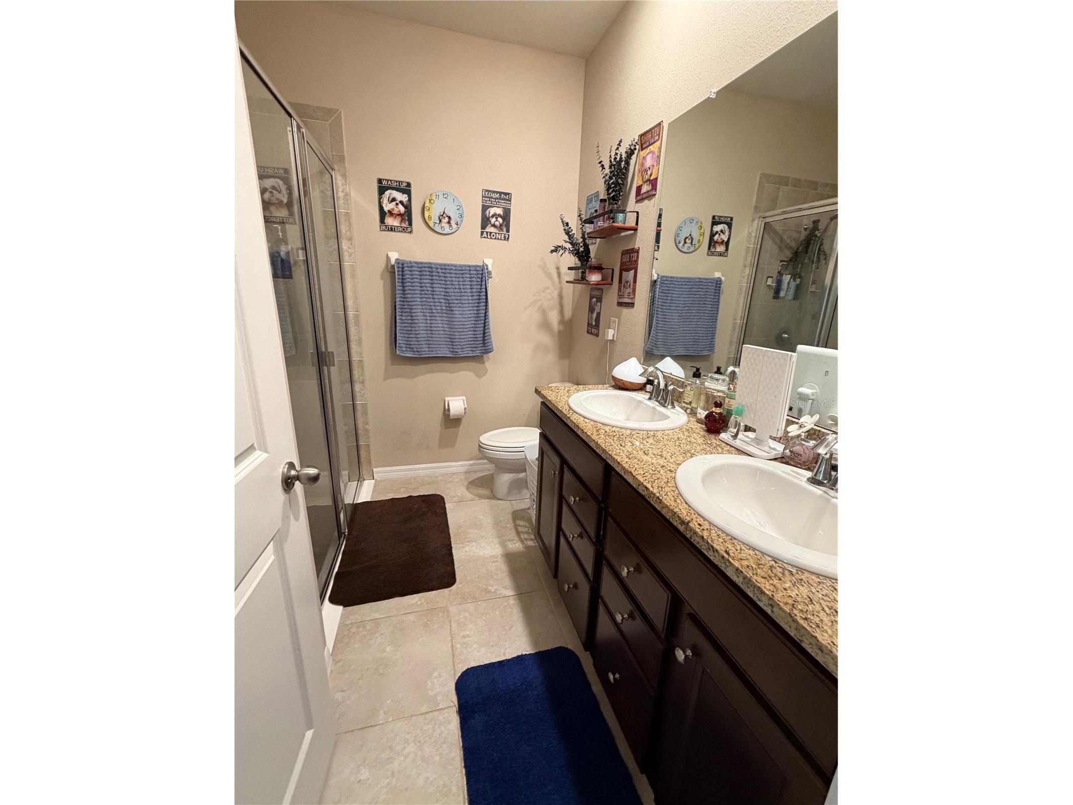 31406 Mango Fade Way San Antonio FL 33576 TB8495985 image5