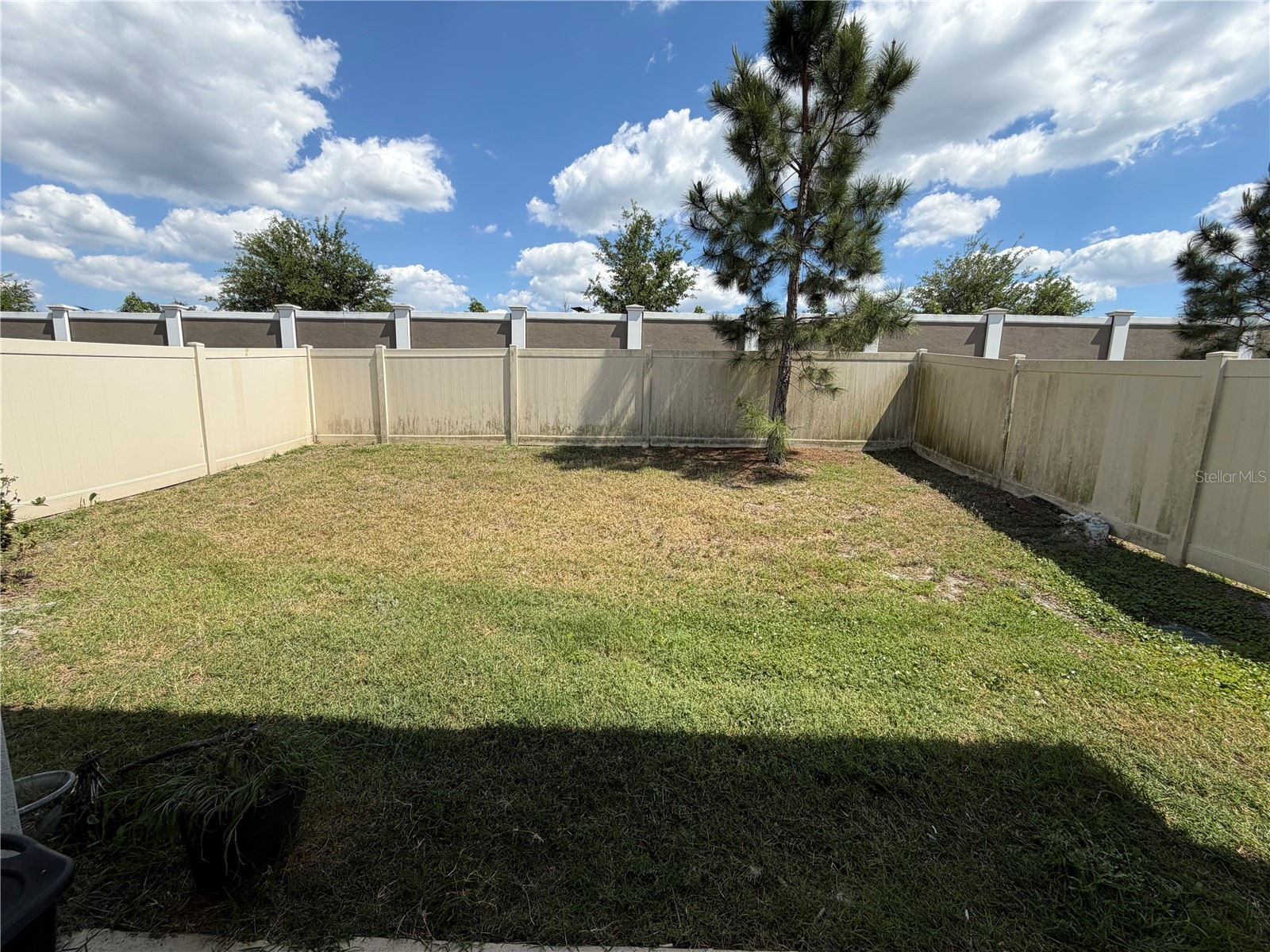 31406 Mango Fade Way San Antonio FL 33576 TB8495985 image7