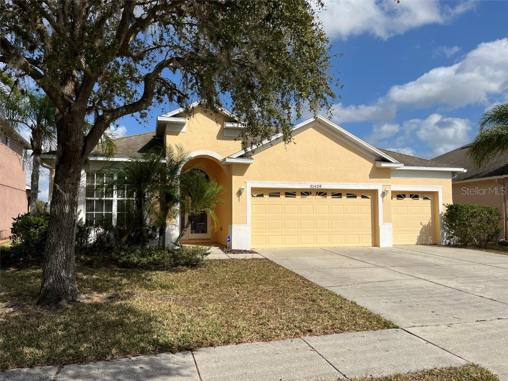 31409 Bridgegate Drive Wesley Chapel FL 33545 T3503731 image1