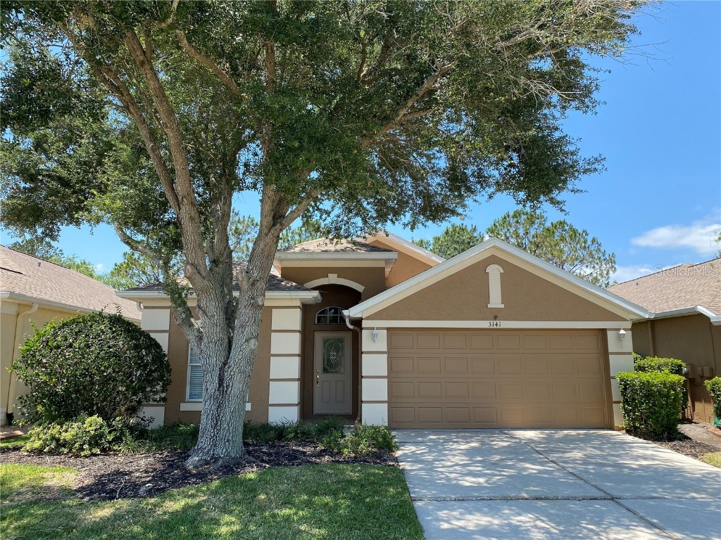 3141 Banyan Hill Lane Land O Lakes FL 34639 U8242658 image1