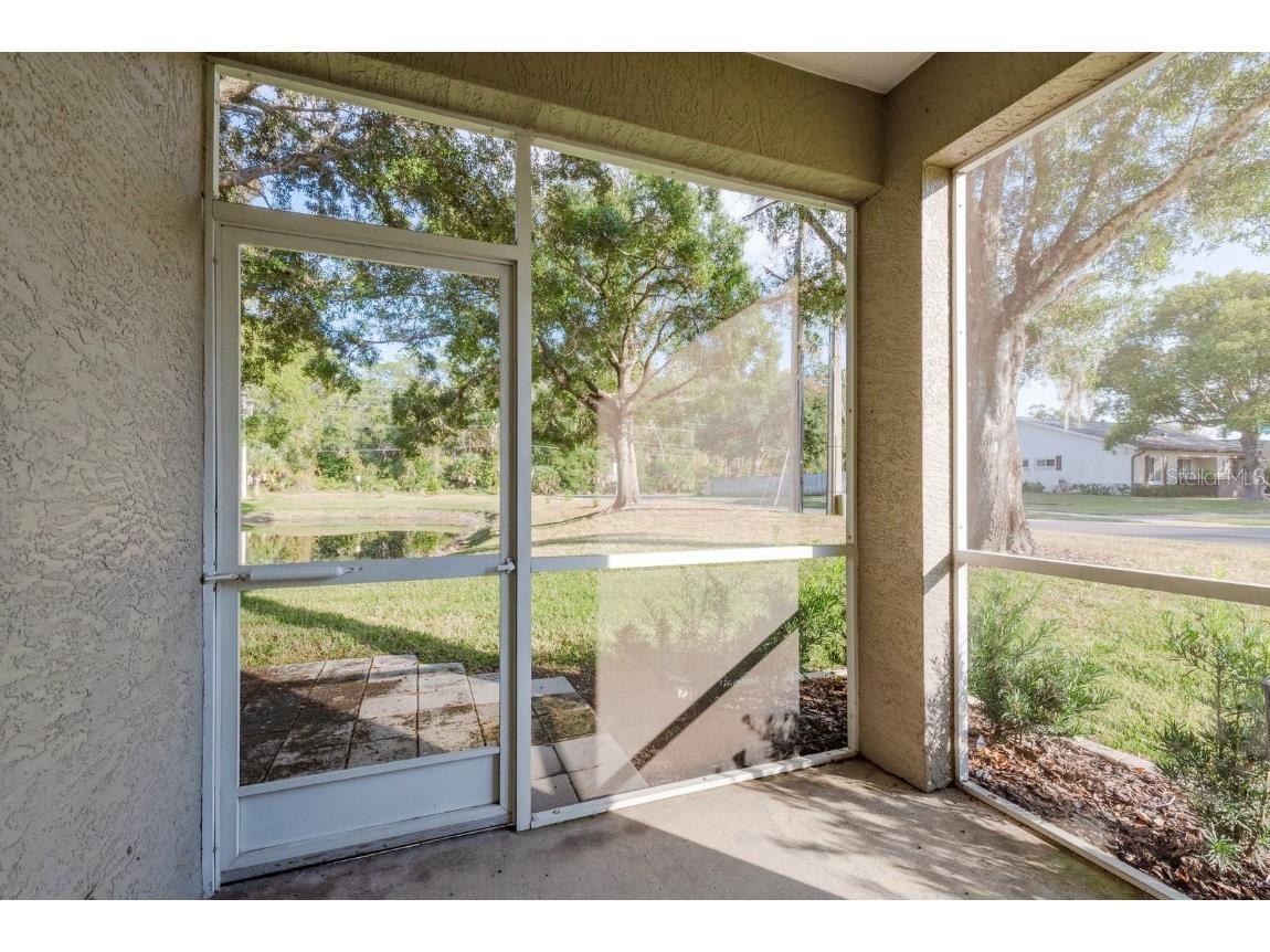 3141 Brooker Creek Way Palm Harbor FL 34685 - BROOKER CREEK TB8448877 image26