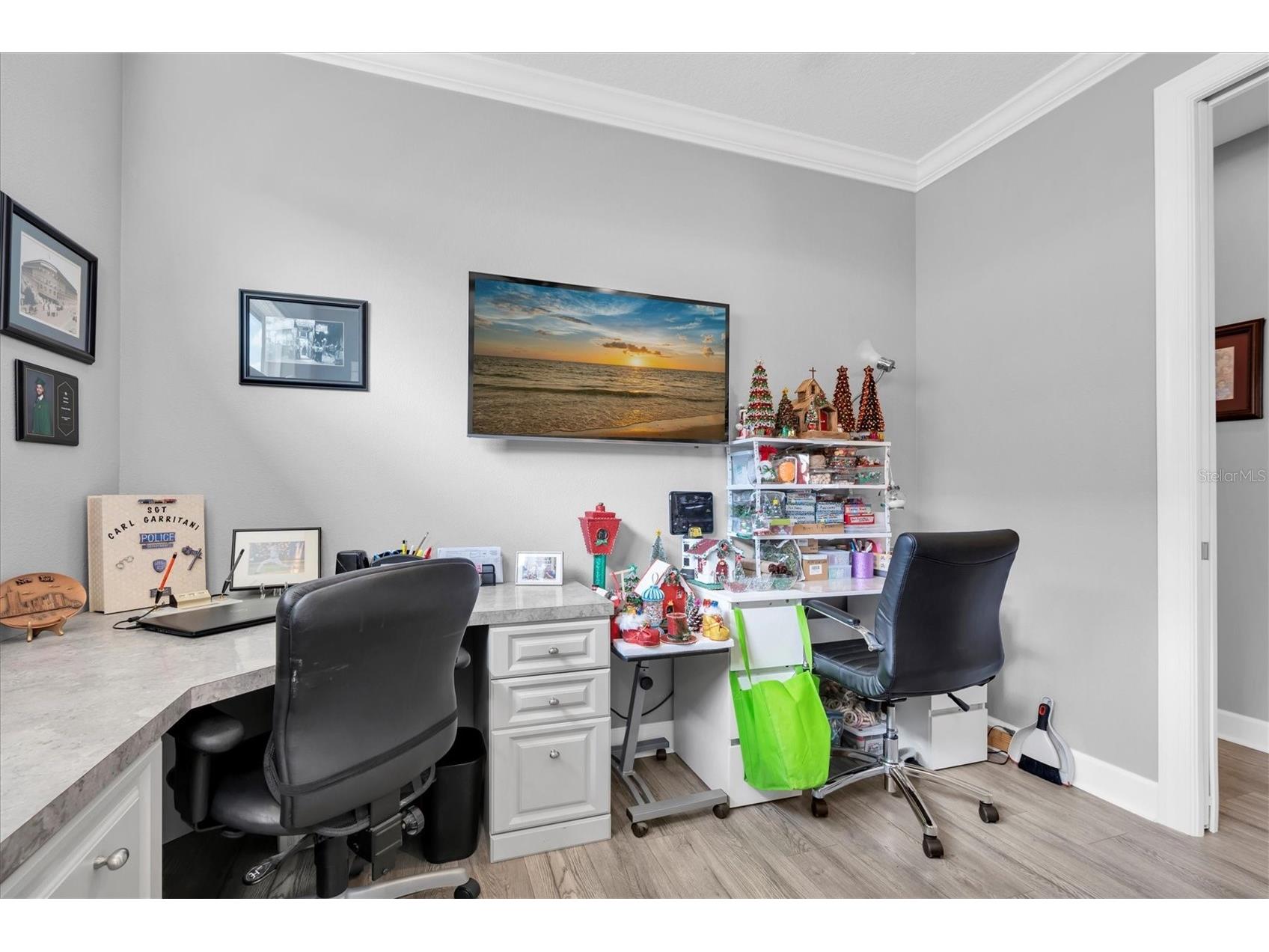 3141 Francoa Drive Odessa FL 33556 TB8478137 image22