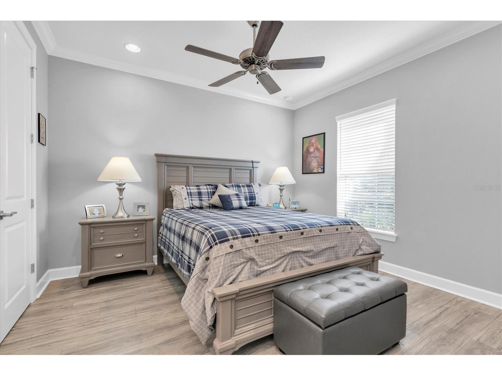 3141 Francoa Drive Odessa FL 33556 TB8478137 image28