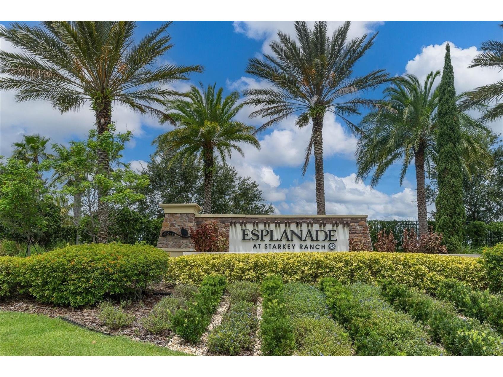 3141 Francoa Drive Odessa FL 33556 TB8478137 image4