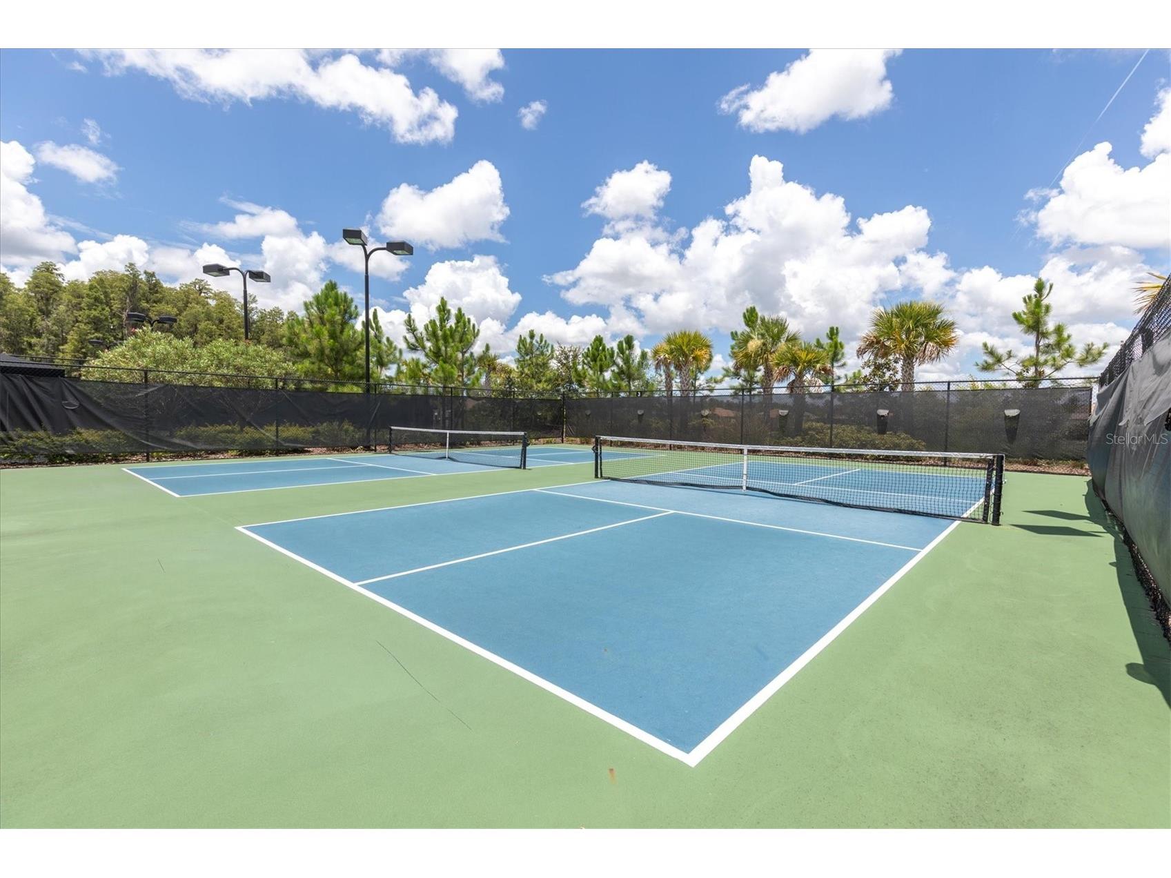 3141 Francoa Drive Odessa FL 33556 TB8478137 image56