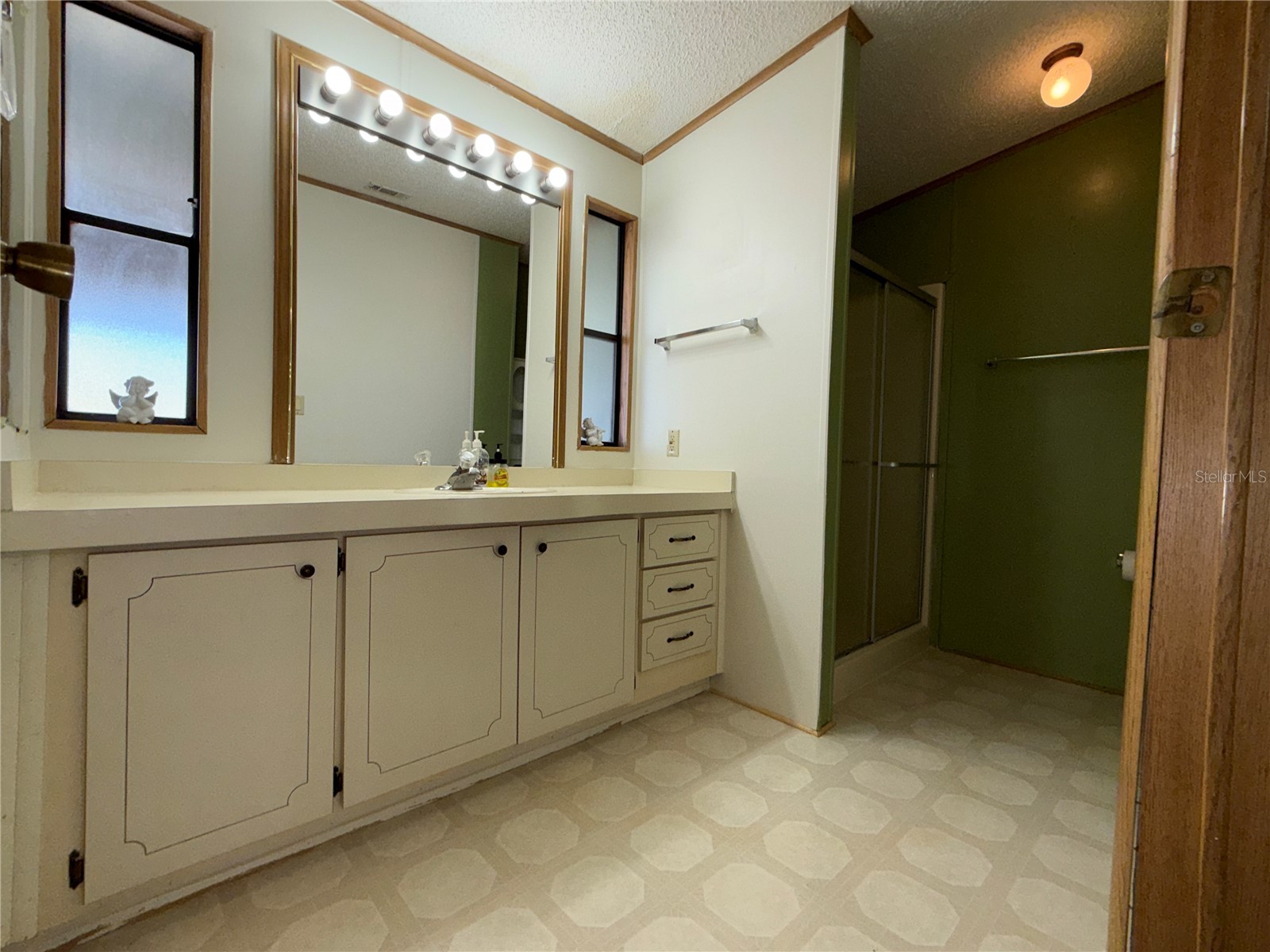 3141 Great Oak St Wesley Chapel FL 33543 TB8448670 image18