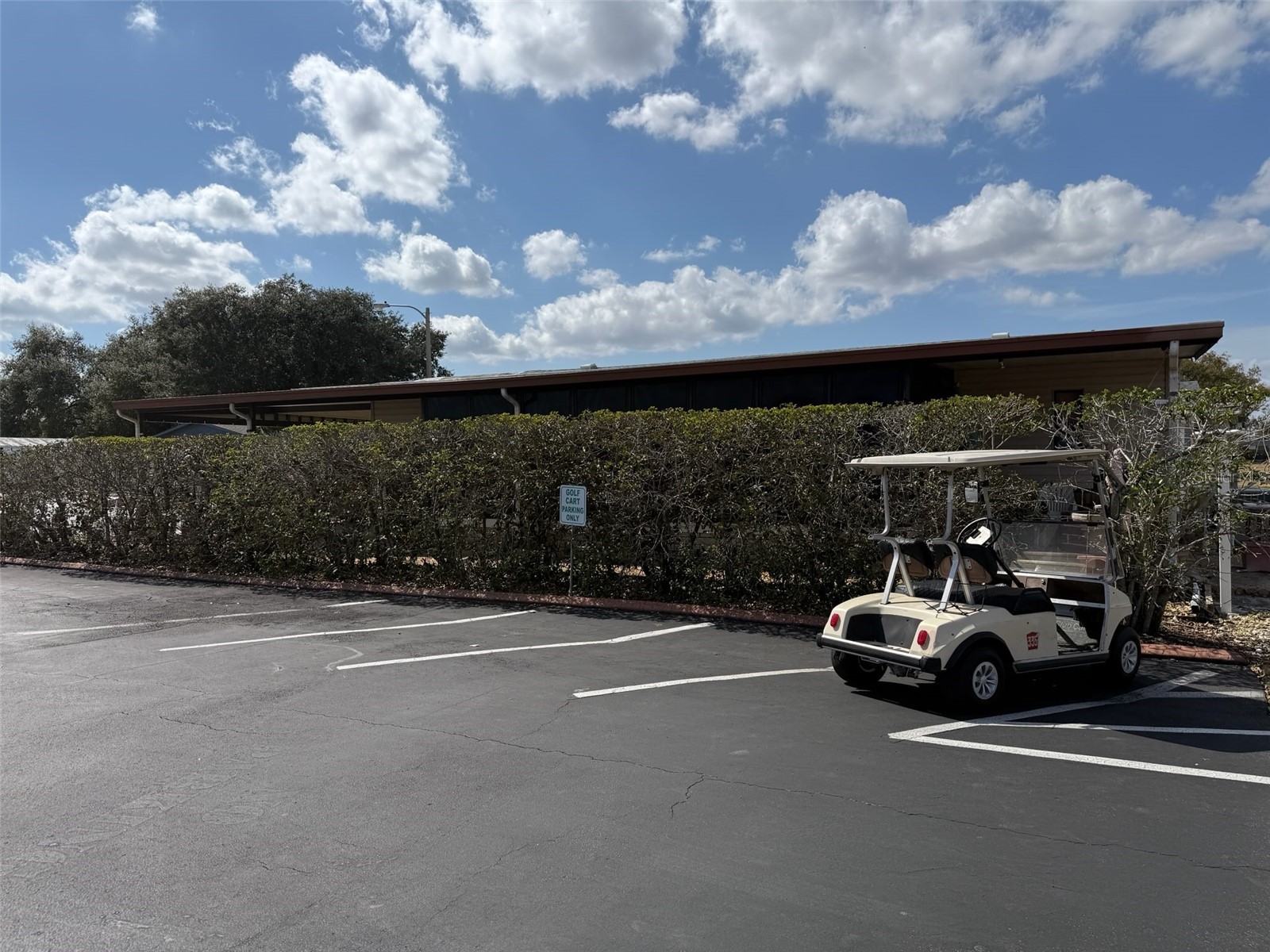 3141 Great Oak St Wesley Chapel FL 33543 TB8448670 image36